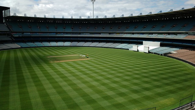 实施语言和 实施语言和