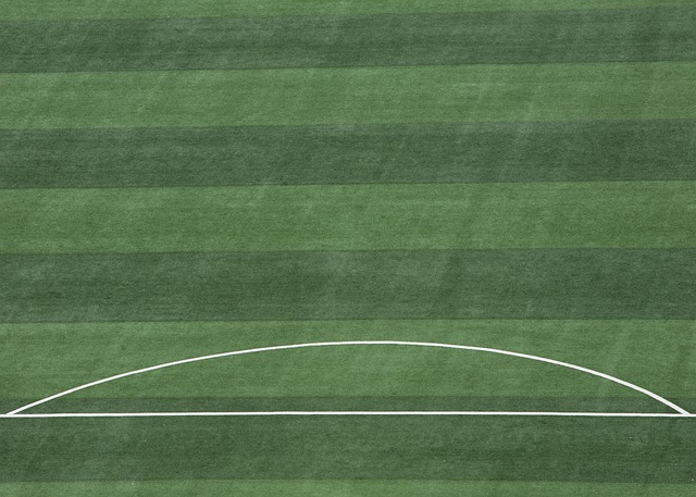 轻球员的培 轻球员的培