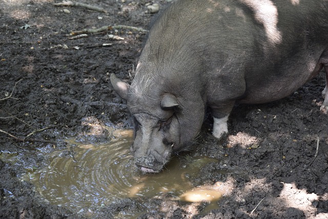 巴萨成史上 巴萨成史上
