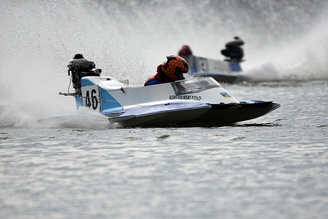 的出色表现 的出色表现