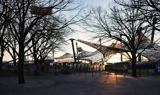 年轻球员的 年轻球员的