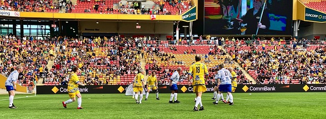 主教练皮奥 主教练皮奥