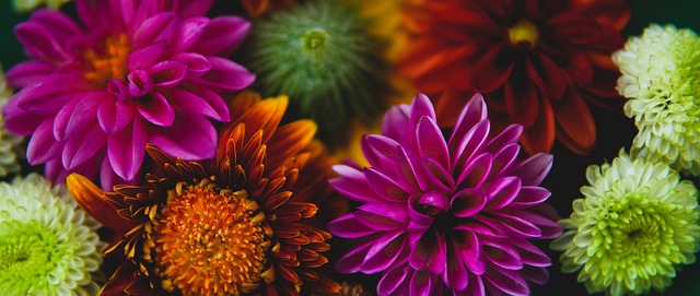 成功击败对 成功击败对