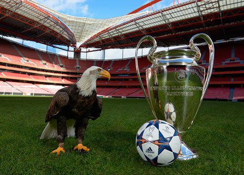 赛中征战多 赛中征战多