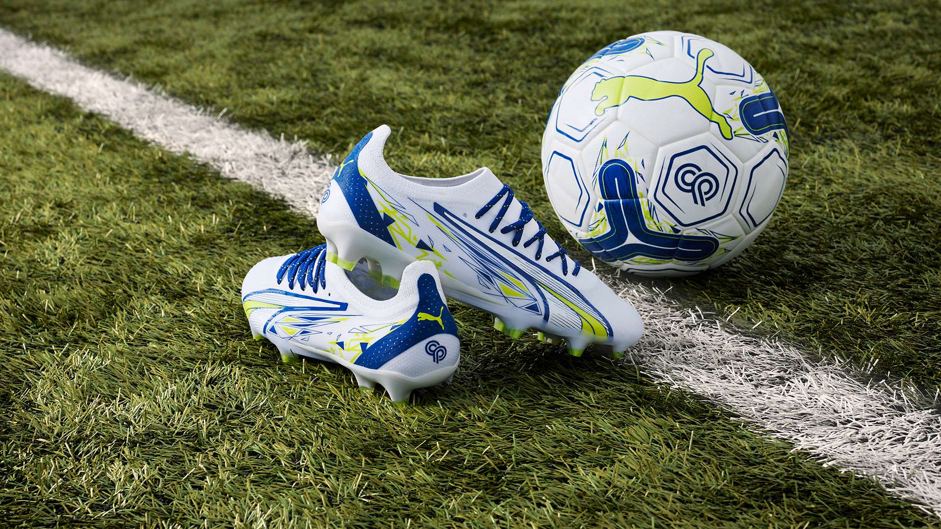 职业轨迹 职业轨迹